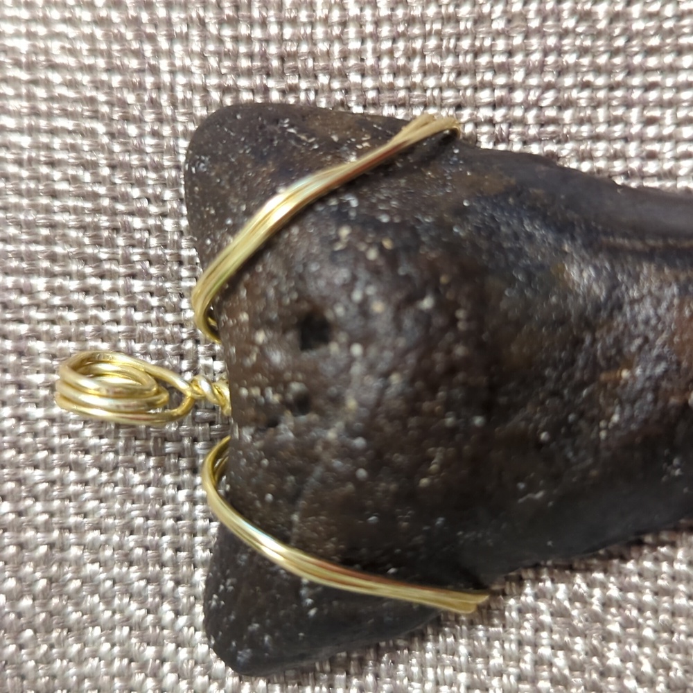 Megalodon Shark Tooth 2.85 Inches Comes With Frame And Removable Wire Wrap. - Picture 4 of 6